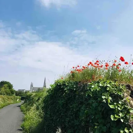 Maison Renovee Dans Un Corps De Ferme * 勒皮圣母院